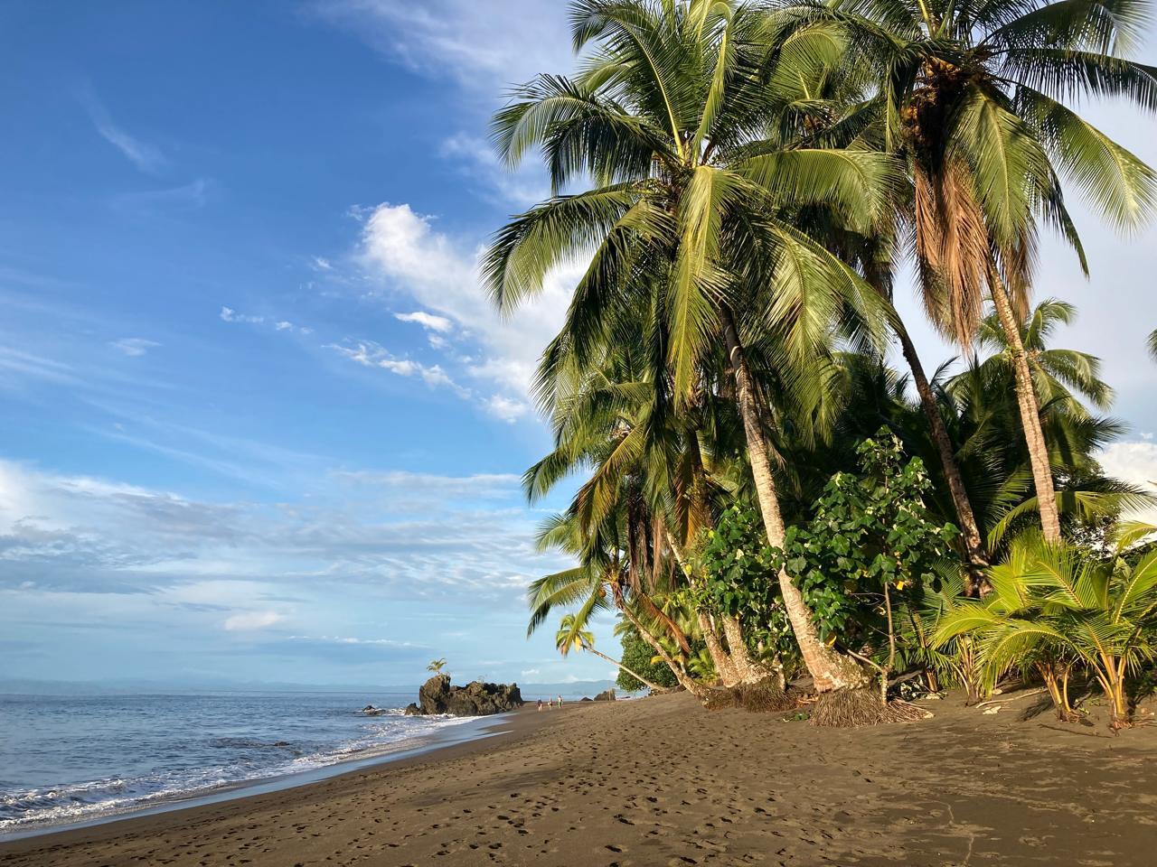 Colombian Pacific with la Bayka - Image 7