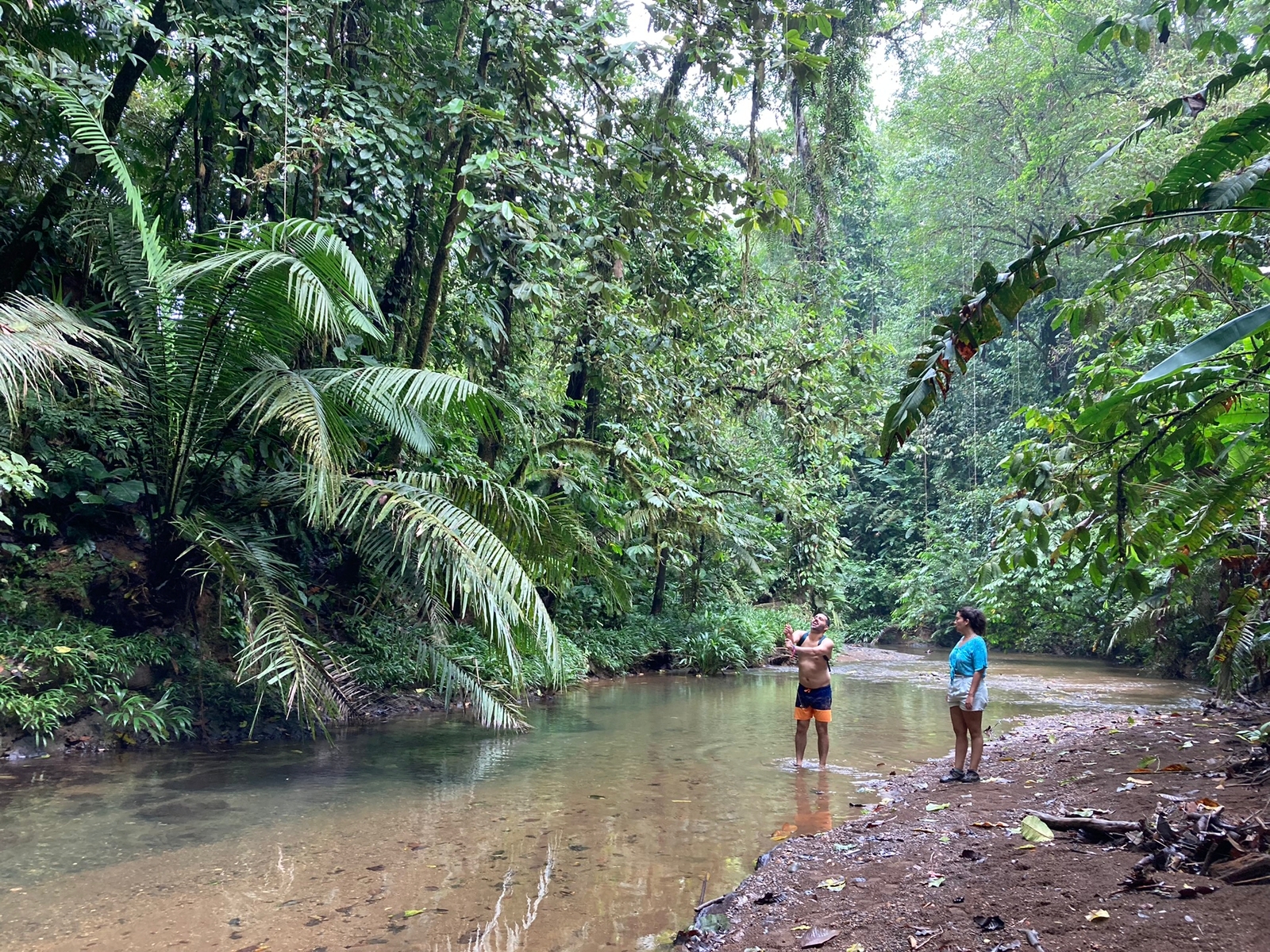 Colombian Pacific with la Bayka - Image 8