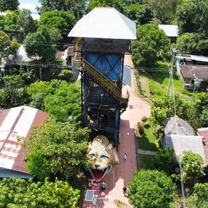 Leticia & Puerto Nariño 4D/3N