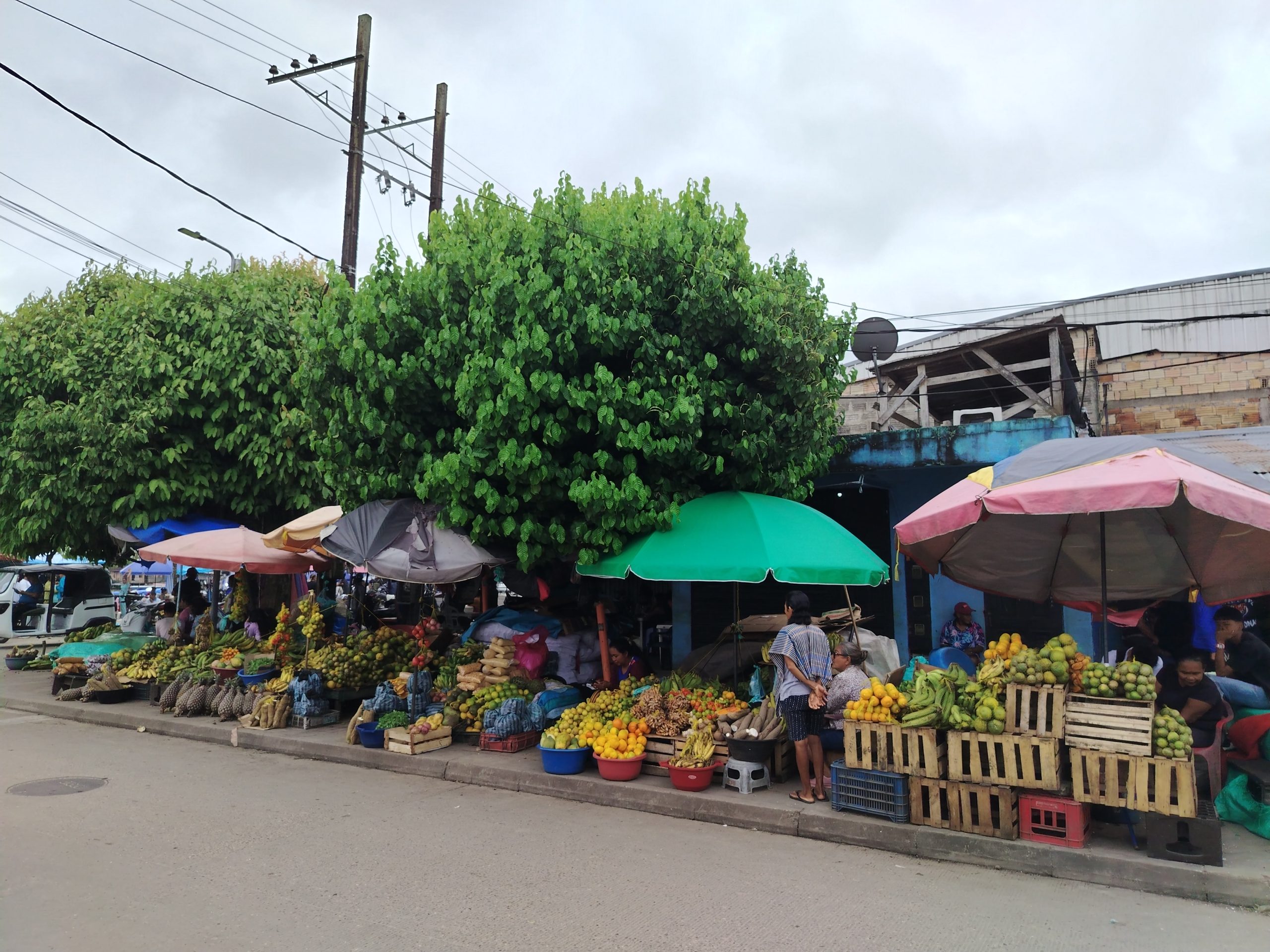 Leticia & Puerto Nariño 4D/3N - Image 8