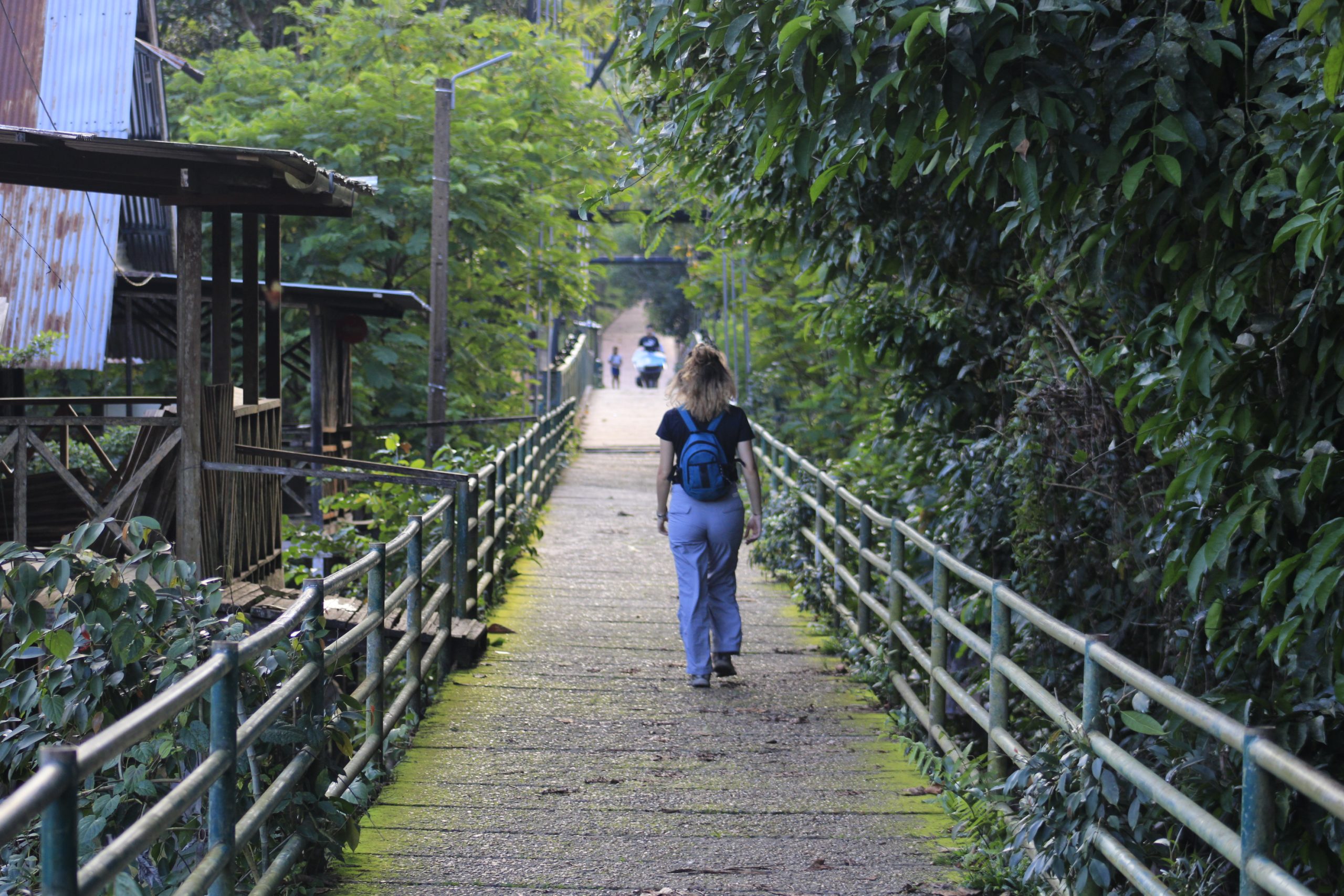 Leticia & Puerto Nariño 4D/3N - Image 5