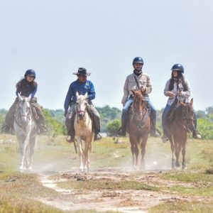 Llanera Immersion - Juan Solito Hato The Aurora Ecolodge - 5D/4N