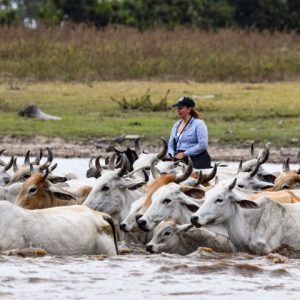 Journey across the plains - El encanto de Guanapalo natural reserve 4D/3N