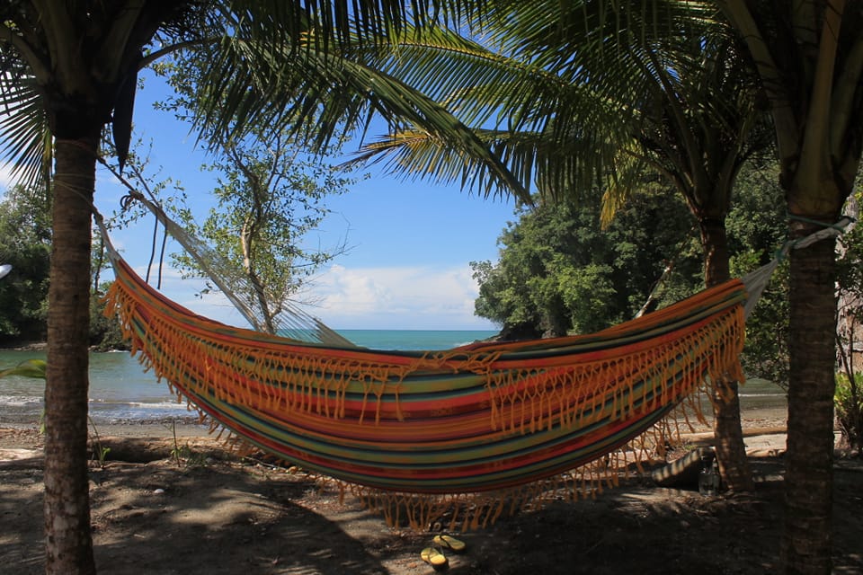 Pacífico & ballenas con Chachita 4D/3N - Image 8