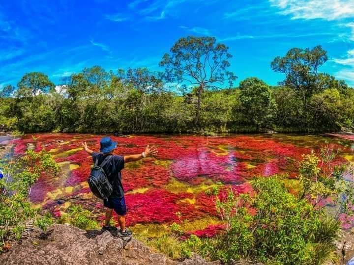 CAÑO CRISTALES, Colors, Landscapes, Flavors Best Time to Visit: June to November 4D/3N - Image 10