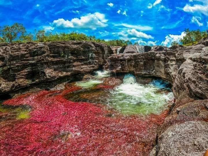 CAÑO CRISTALES, Colors, Landscapes, Flavors Best Time to Visit: June to November 4D/3N - Image 9