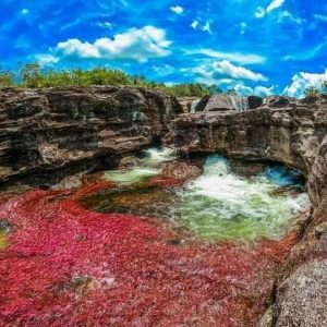 CAÑO CRISTALES, Colors, Landscapes, Flavors Best Time to Visit: June to November 5D/4N