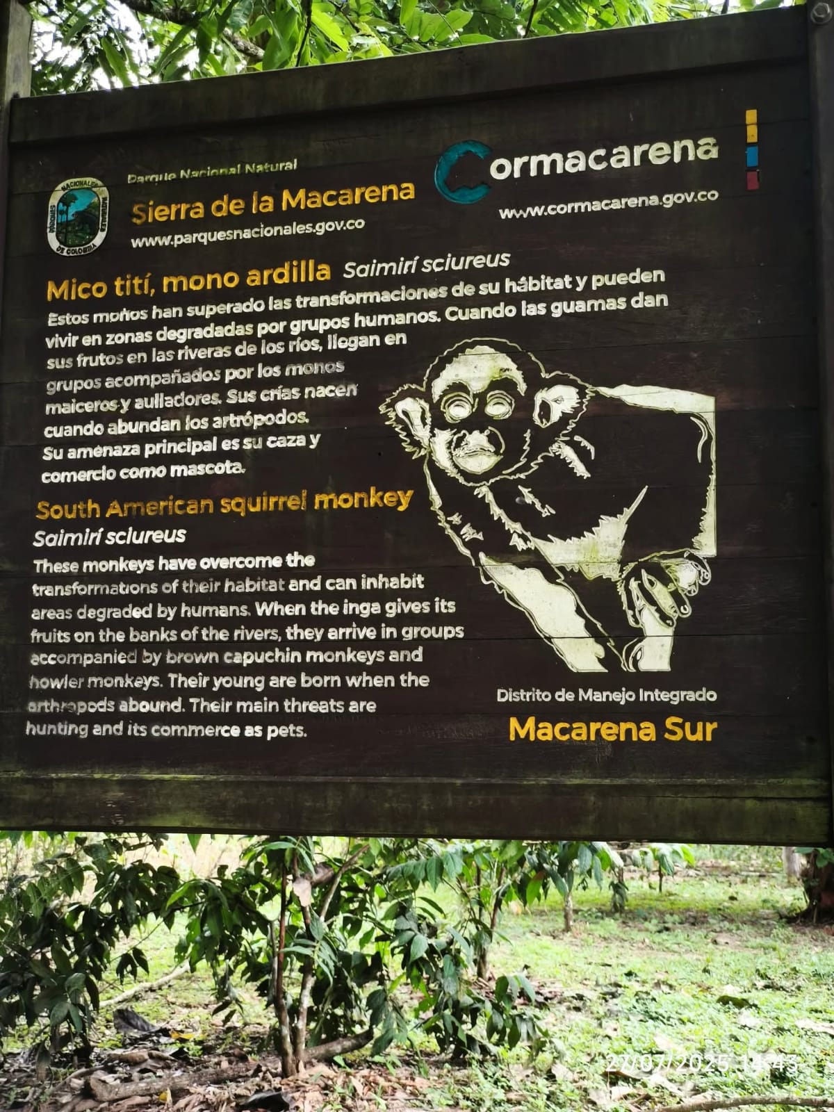 CAÑO CRISTALES, Colors, Landscapes, Flavors Best Time to Visit: June to November 4D/3N - Image 8