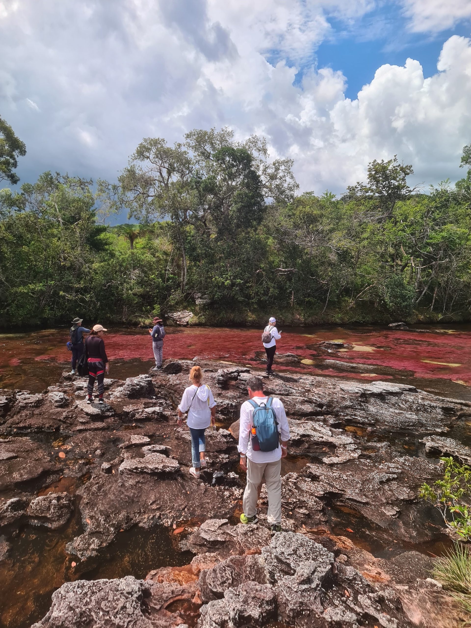 CAÑO CRISTALES, Colors, Landscapes, Flavors Best Time to Visit: June to November 4D/3N - Image 6