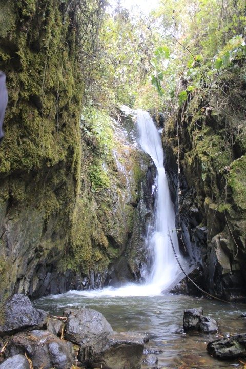 The Colombian Massif - Inhale Deeply - 6D/5N - Image 14